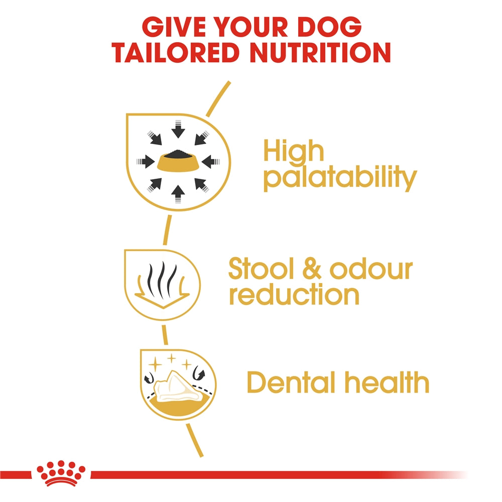 Royal Canin Dry Dog Food for Adult Chihuahuas
