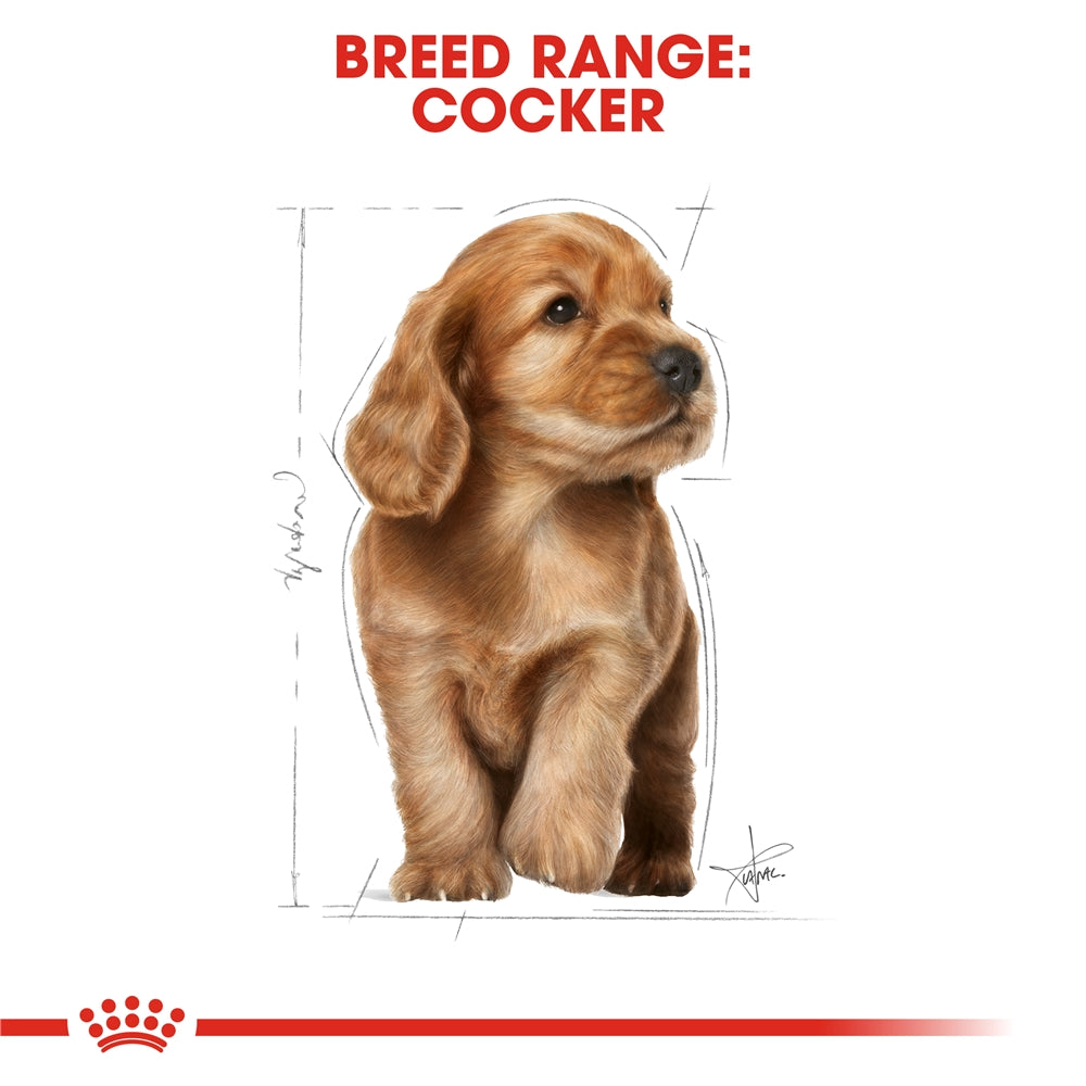 Royal Canin Dry Dog Food for Cocker Puppies, 3kg