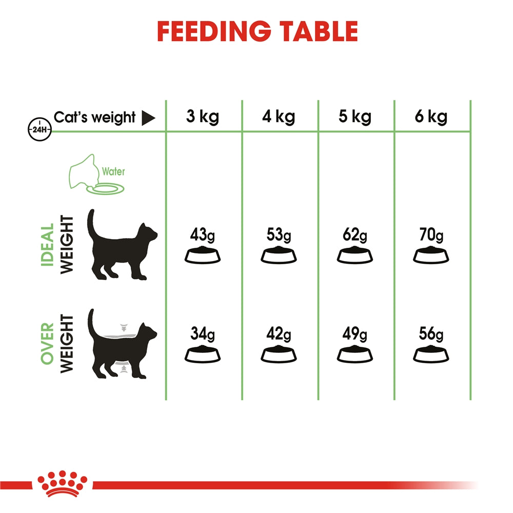Royal Canin Digestive Care Dry Cat Food for Adult Cats