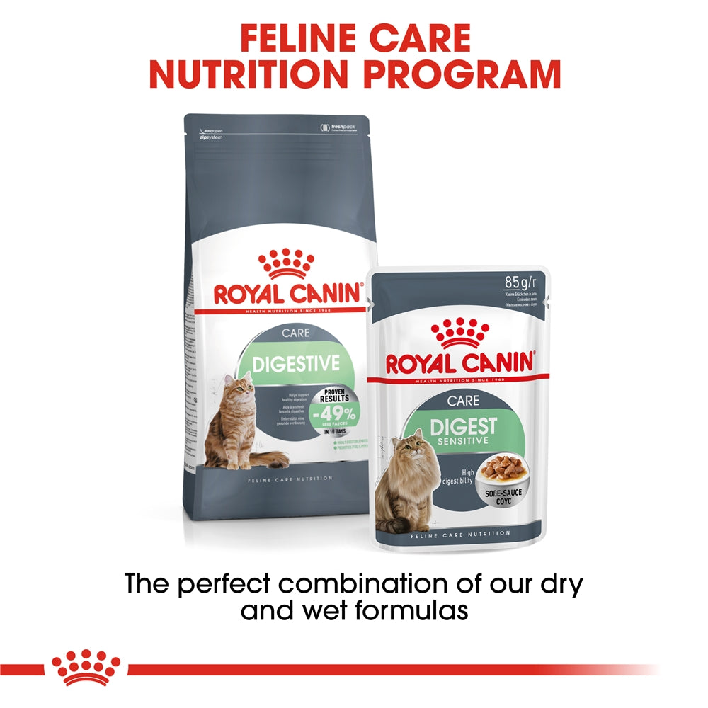 Royal Canin Digestive Care Dry Cat Food for Adult Cats