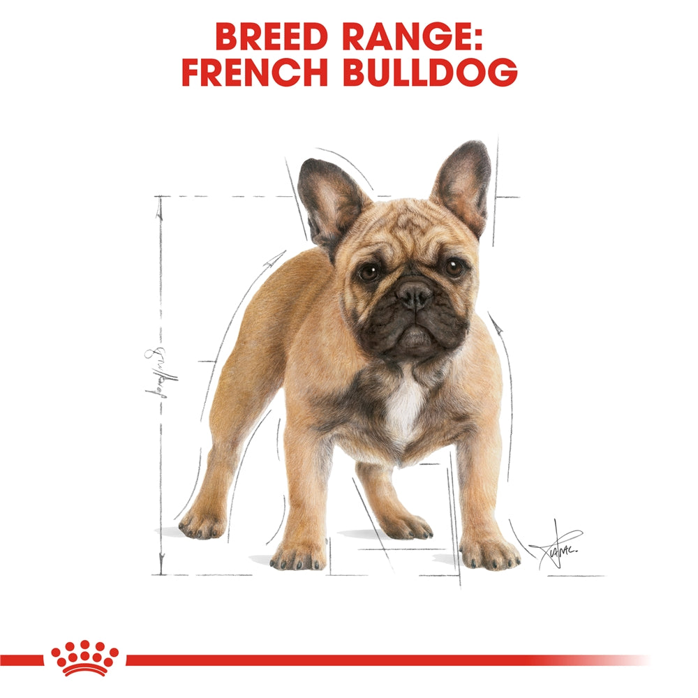 Royal Canin Dry Dog Food for Adult French Bulldogs, 3kg