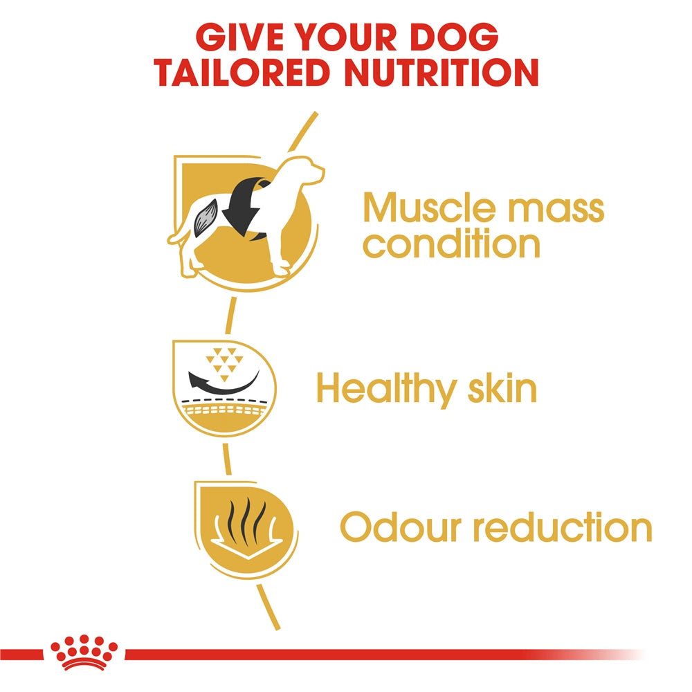Royal Canin Dry Dog Food for Adult French Bulldogs, 3kg
