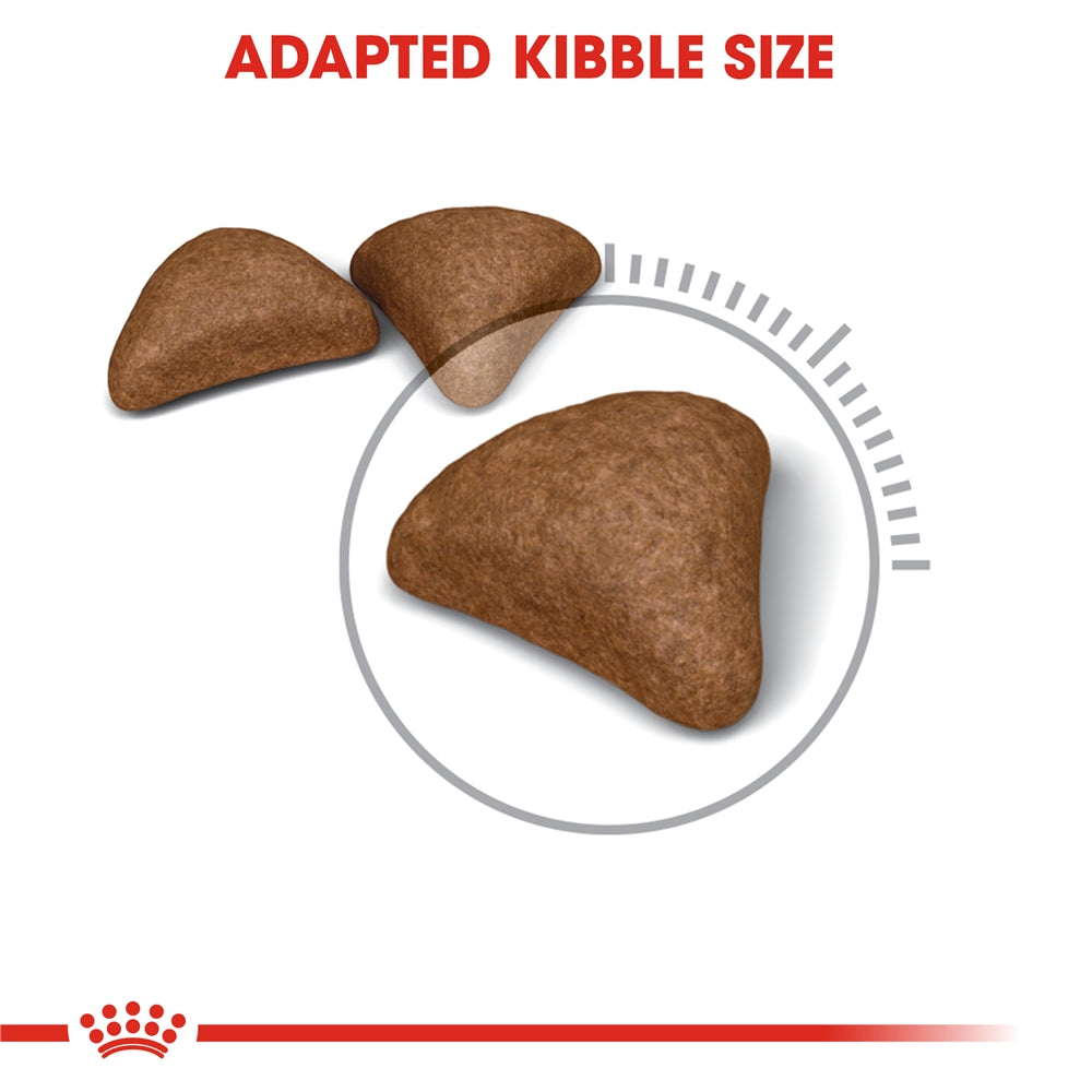 Royal Canin Hairball Care Dry Cat Food for Adult Cats