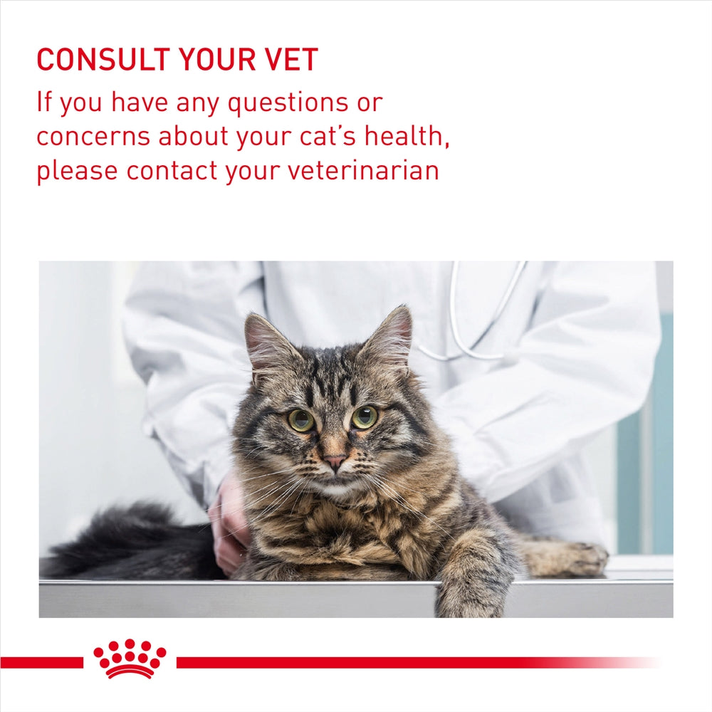 Royal Canin Hairball Care Dry Cat Food for Adult Cats