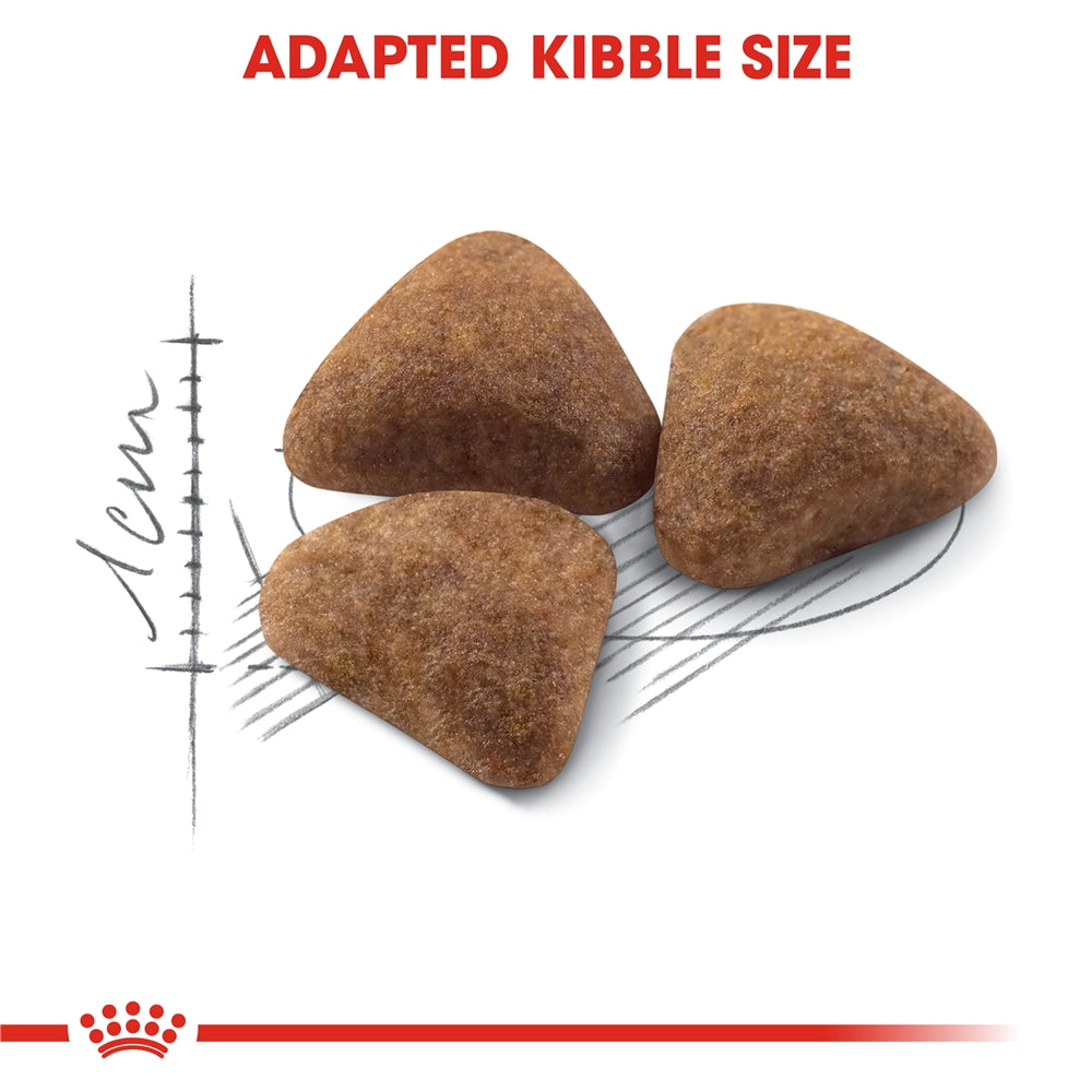 Royal Canin Indoor 27 Dry Cat Food for Indoor Adult Cats