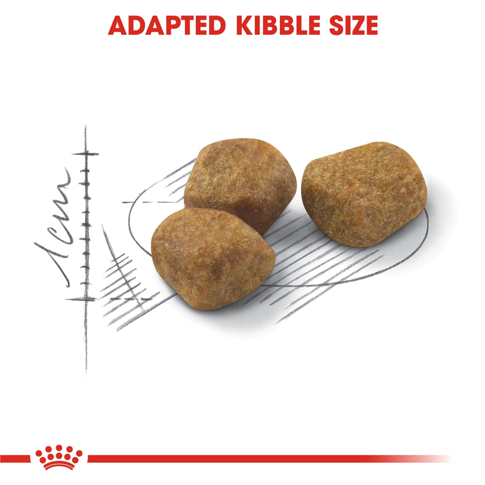 Royal Canin Indoor 7+ Dry Cat Food for Indoor Senior Cats, 3.5kg
