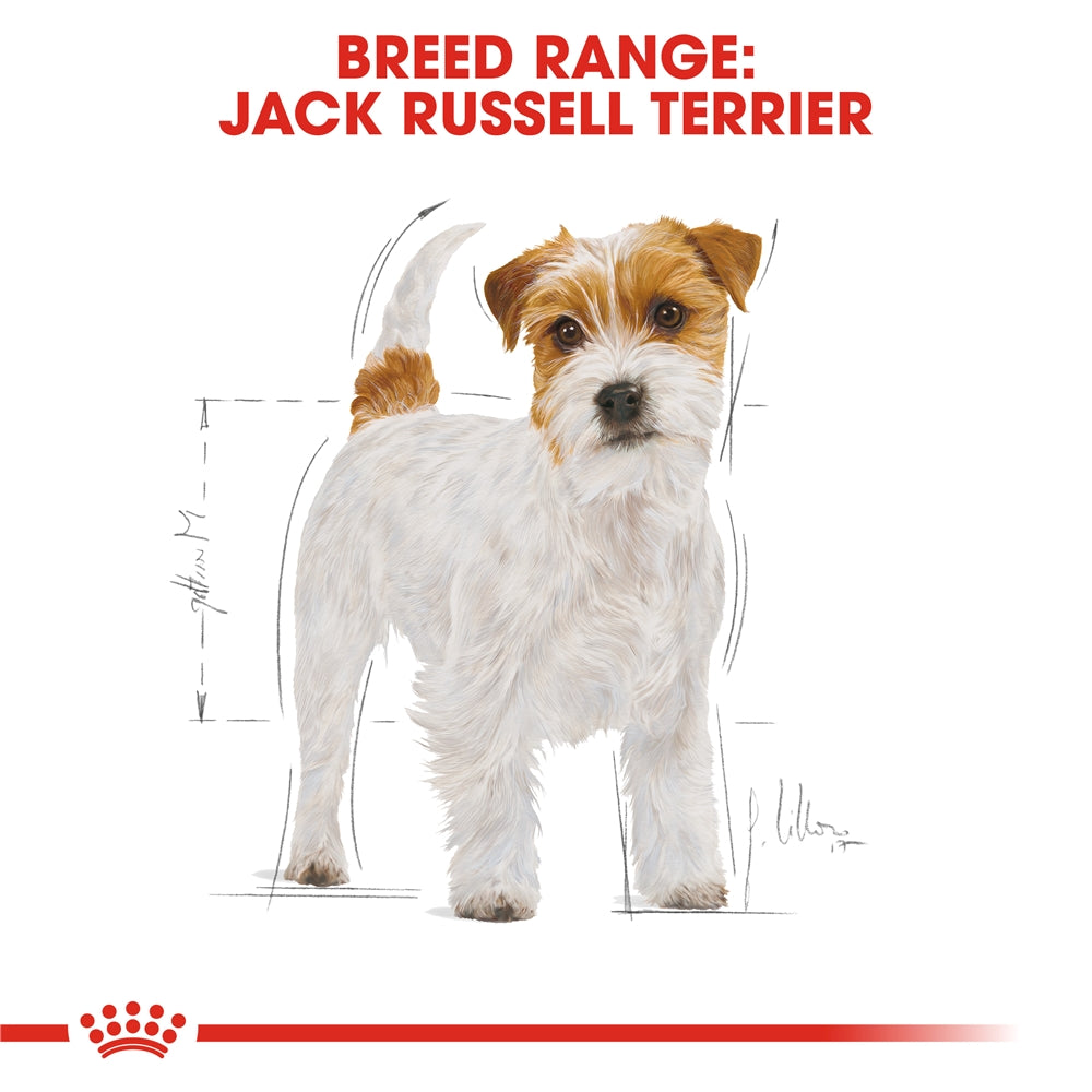 Royal Canin Dry Dog Food for Adult Jack Russell Terriers