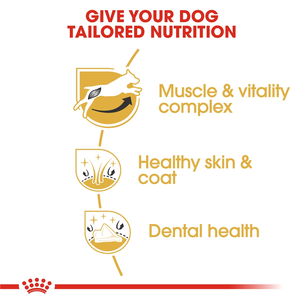 Royal Canin Dry Dog Food for Adult Jack Russell Terriers