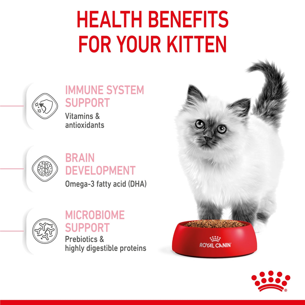 Royal Canin Dry Cat Food for Kittens