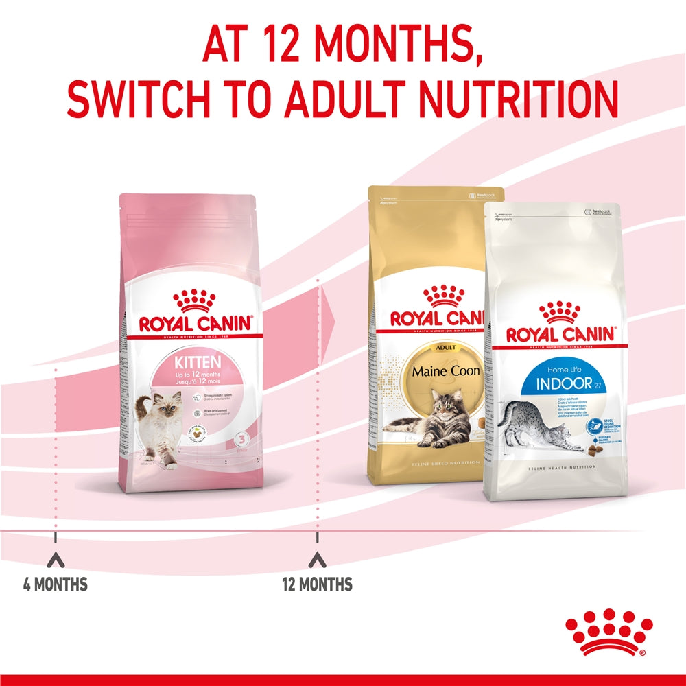Royal Canin Dry Cat Food for Kittens