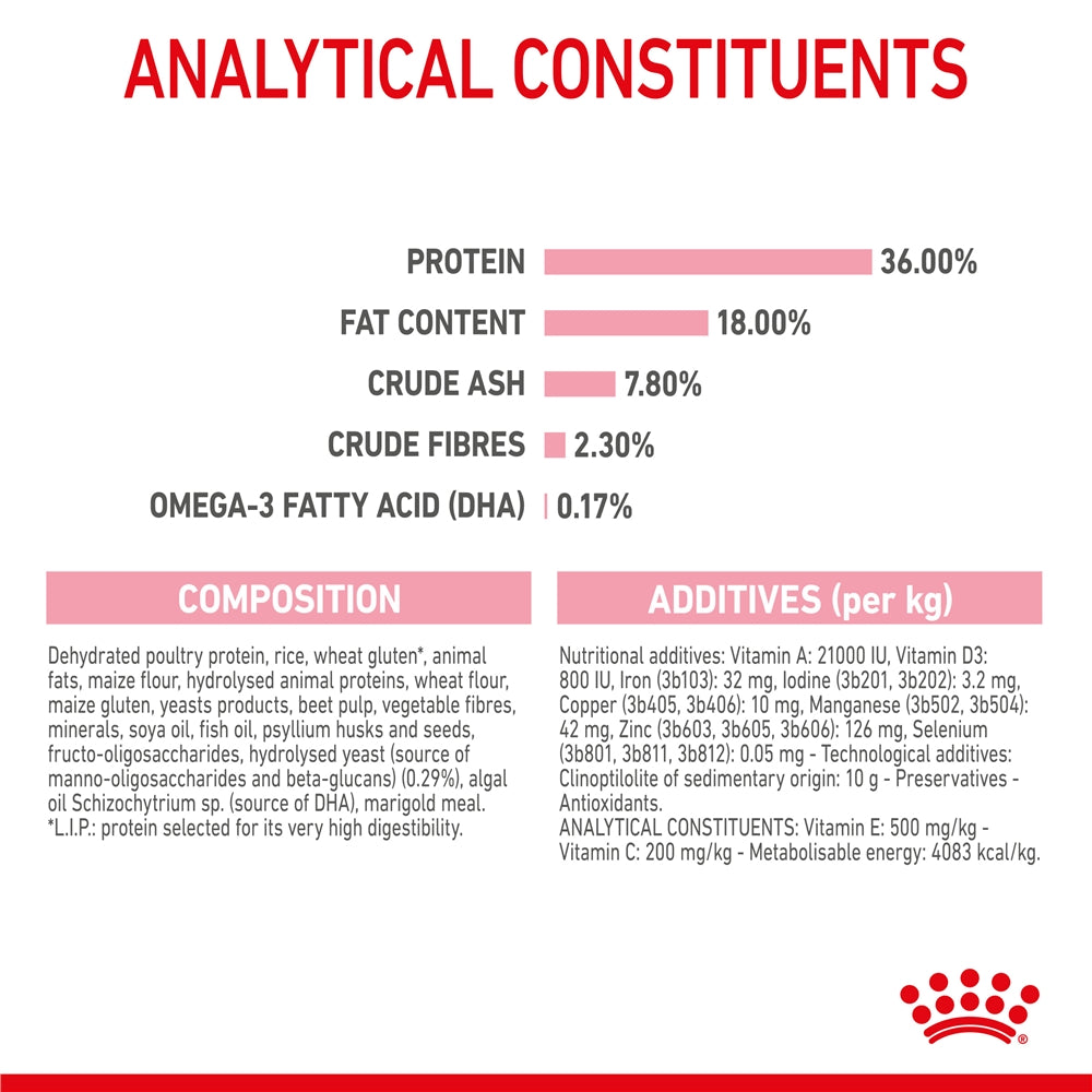 Royal Canin Dry Cat Food for Kittens