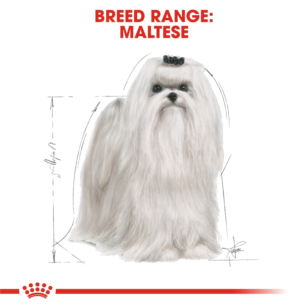 Royal Canin Maltese Dry Dog Food for Adult Dogs, 1.5kg