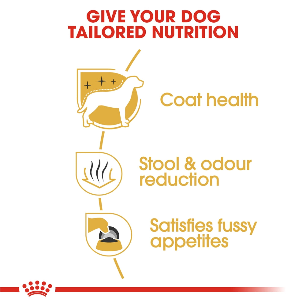 Royal Canin Maltese Dry Dog Food for Adult Dogs, 1.5kg