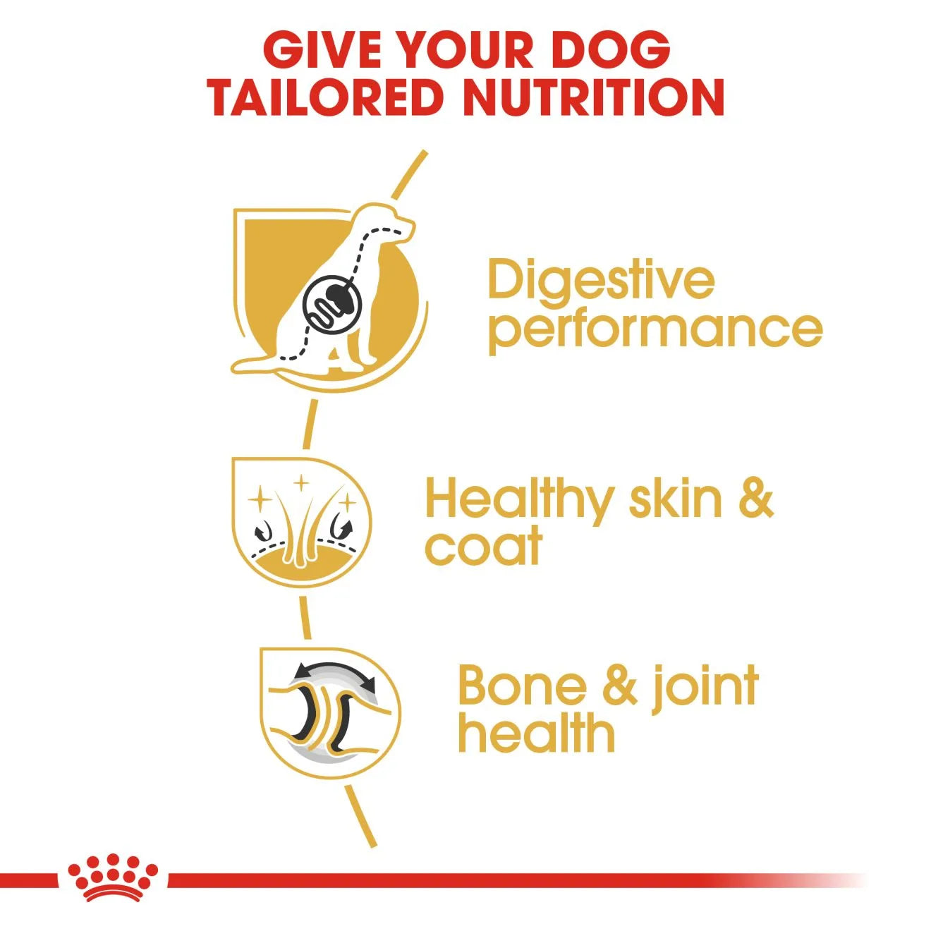 Royal Canin Dry Dog Food for Adult German Shepherds, 11kg