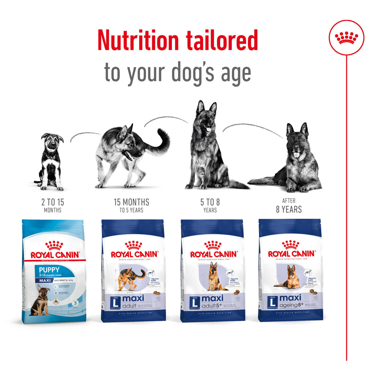 Royal Canin Dry Dog Food for Large Breed Adult Dogs