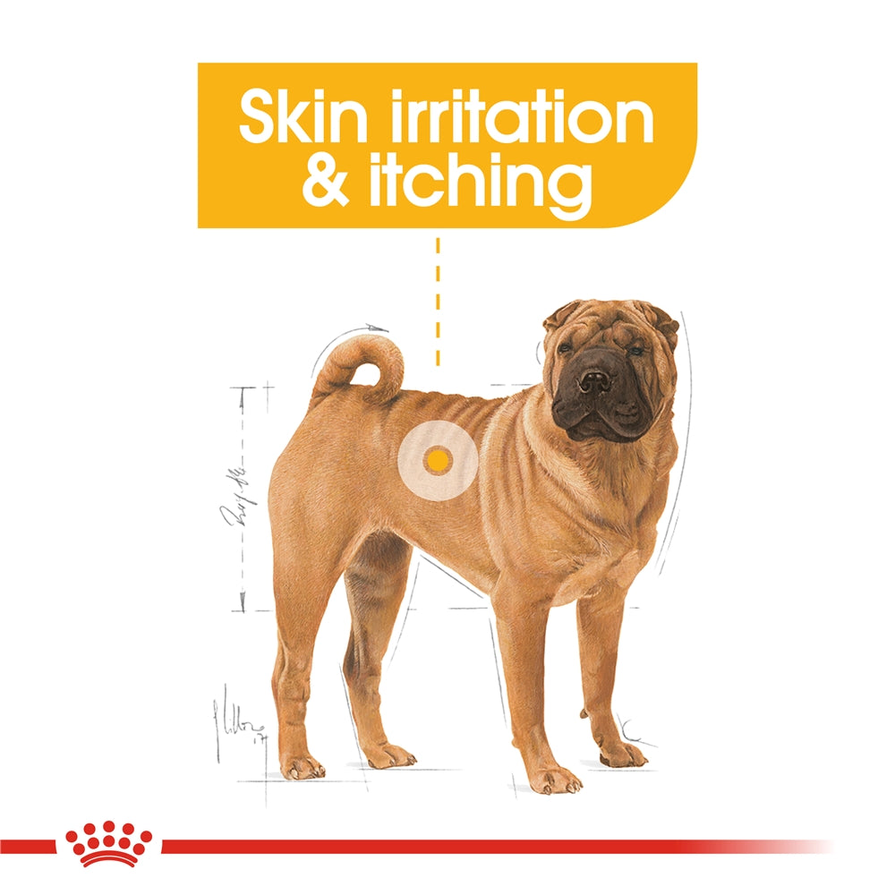 Royal Canin Dermacomfort Dry Dog Food for Medium Breed Adult Dogs, 3kg