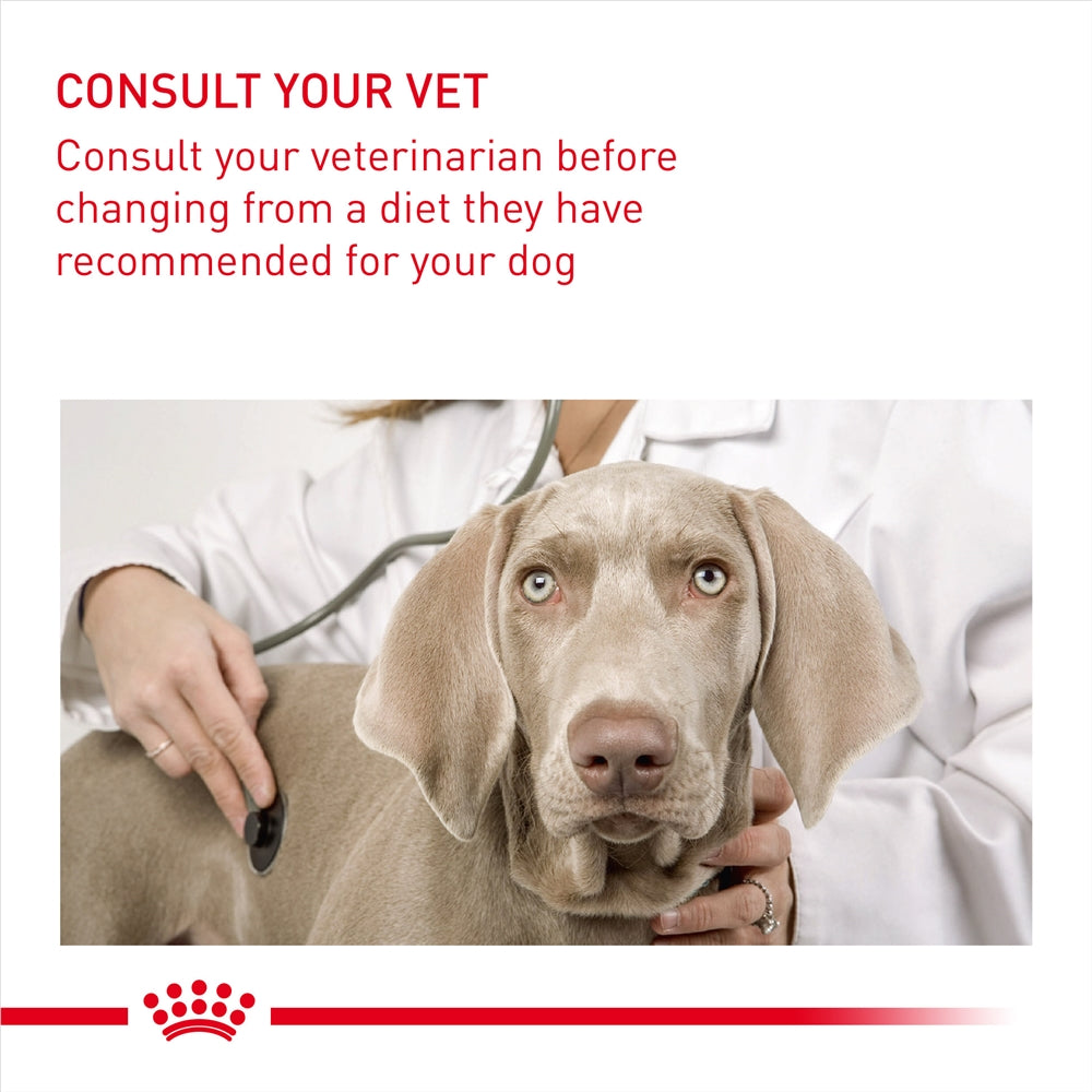 Royal Canin Dermacomfort Dry Dog Food for Medium Breed Adult Dogs, 3kg