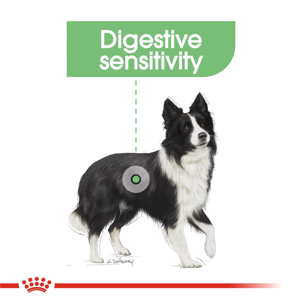 Royal Canin Digestive Care Dry Dog Food for Medium Breed Adult Dogs, 3kg