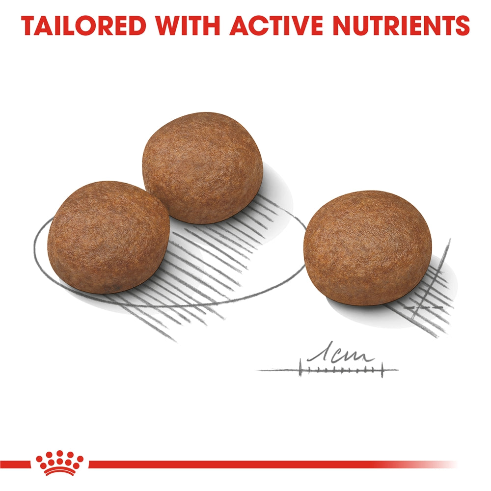 Royal Canin Digestive Care Dry Dog Food for Medium Breed Adult Dogs, 3kg