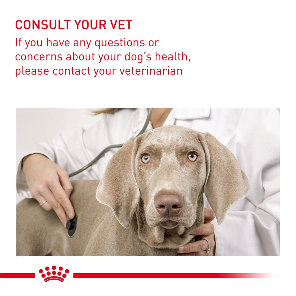 Royal Canin Digestive Care Dry Dog Food for Medium Breed Adult Dogs, 3kg