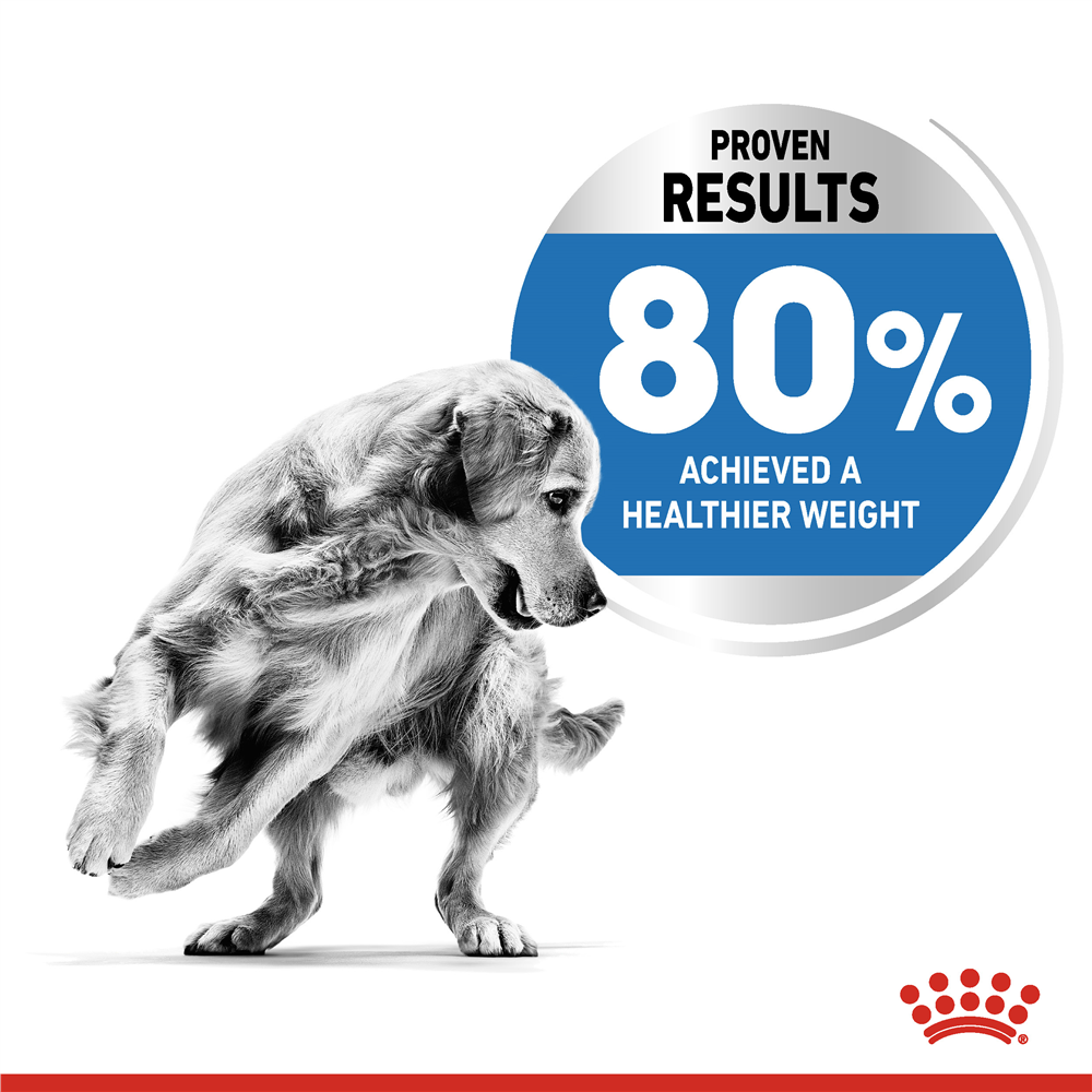 Royal Canin Light Weight Care Dry Dog Food for Medium Breed Adult Dogs, 3kg