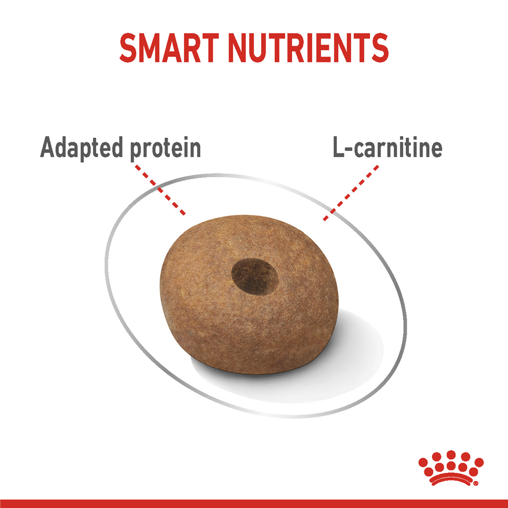 Royal Canin Light Weight Care Dry Dog Food for Medium Breed Adult Dogs, 3kg