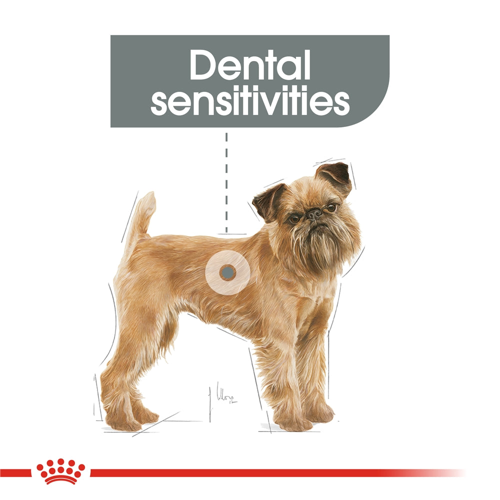 Royal Canin Dental Care Dry Small Dog Food for Small Breed Adult Dogs, 3kg