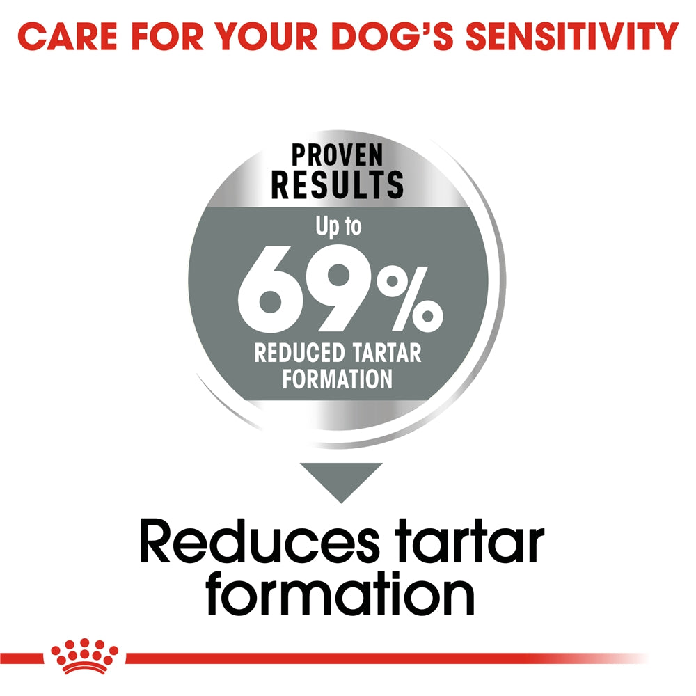 Royal Canin Dental Care Dry Small Dog Food for Small Breed Adult Dogs, 3kg