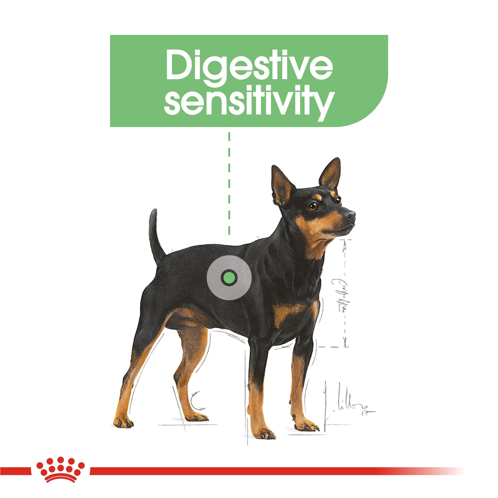 Royal Canin Digestive Care Dry Small Dog Food for Small Breed Adult Dogs, 3kg