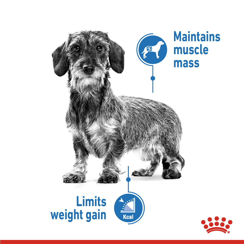 Royal Canin Light Weight Care Dry Small Dog Food for Small Breed Adult Dogs