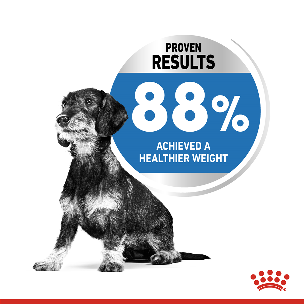 Royal Canin Light Weight Care Dry Small Dog Food for Small Breed Adult Dogs