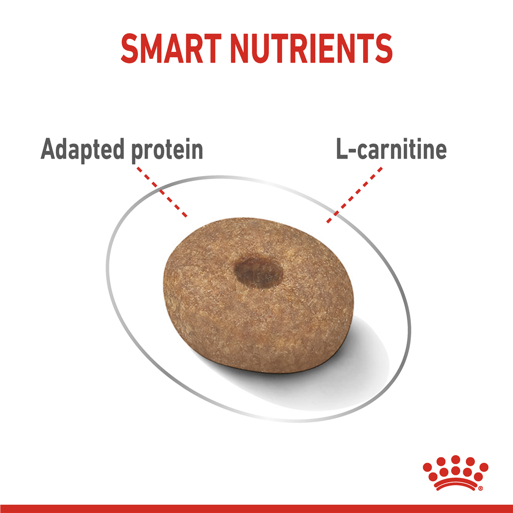 Royal Canin Light Weight Care Dry Small Dog Food for Small Breed Adult Dogs