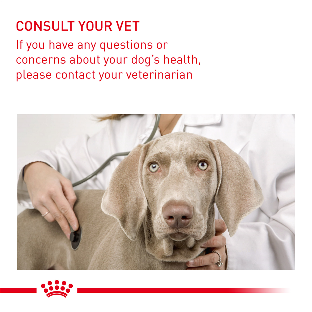Royal Canin Light Weight Care Dry Small Dog Food for Small Breed Adult Dogs