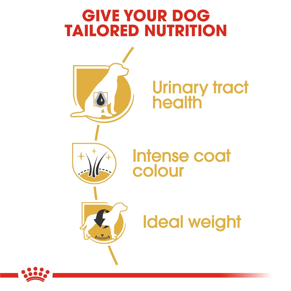 Royal Canin Schnauzer Dry Dog Food for Adult Dogs, 3kg