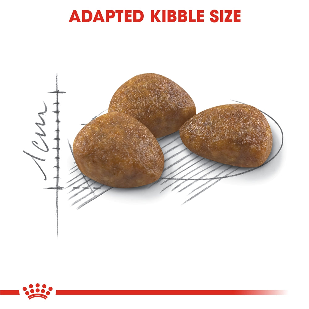 Royal Canin Outdoor 7+ Dry Cat Food for Active Outdoor Senior Cats, 400g