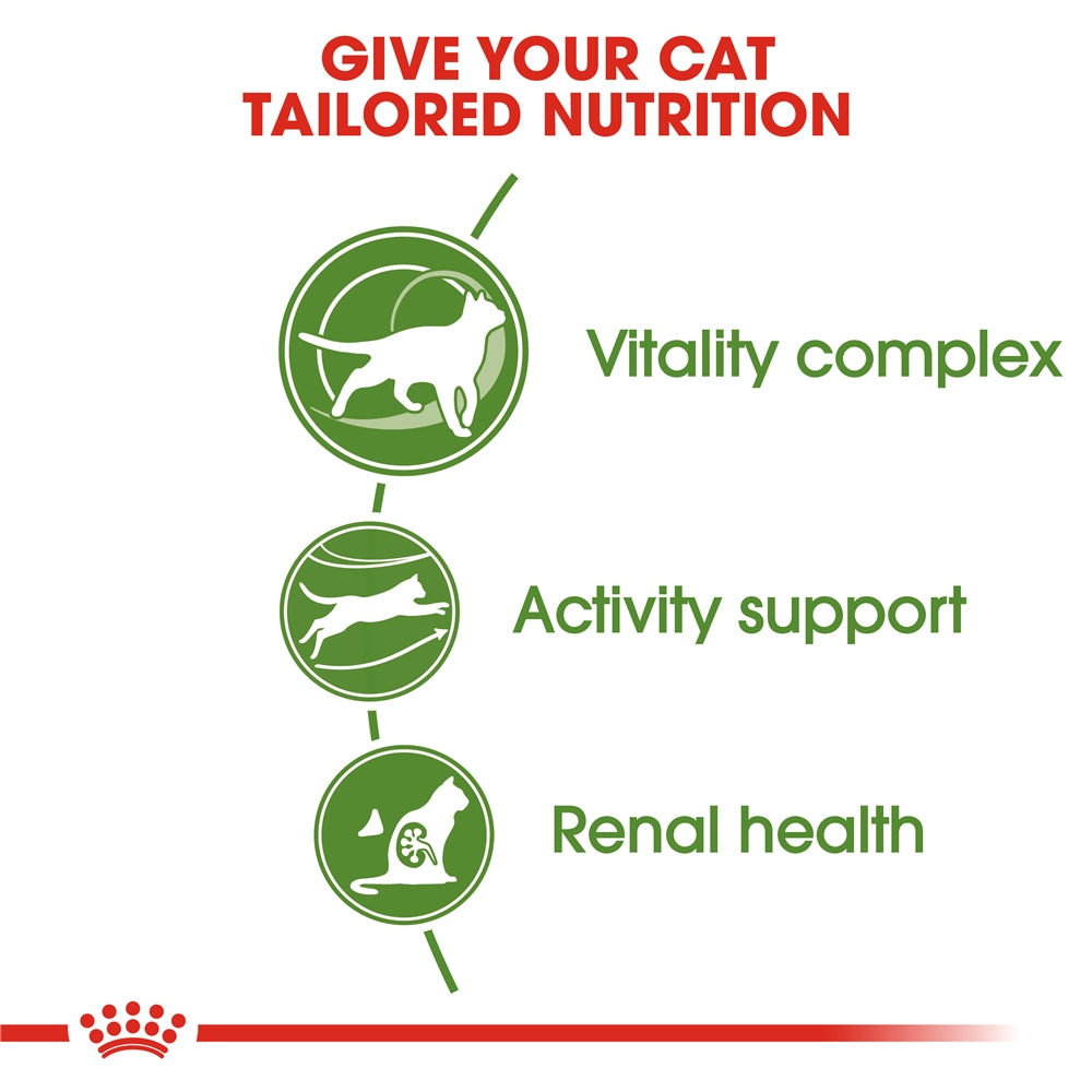 Royal Canin Outdoor 7+ Dry Cat Food for Active Outdoor Senior Cats, 400g