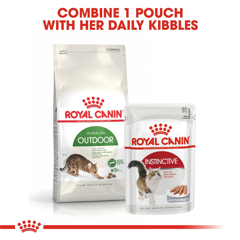 Royal Canin Dry Cat Food for Active Outdoor Adult Cats