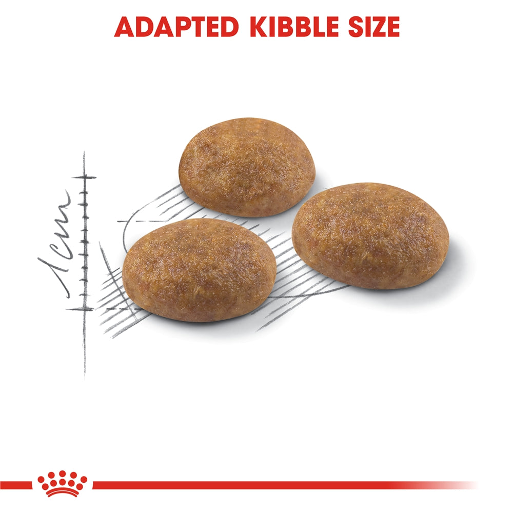 Royal Canin Dry Cat Food for Active Outdoor Adult Cats