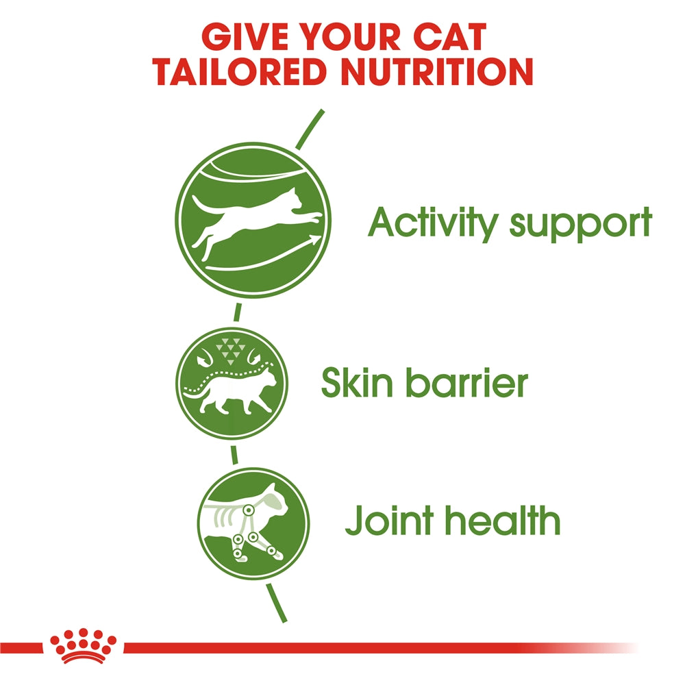 Royal Canin Dry Cat Food for Active Outdoor Adult Cats