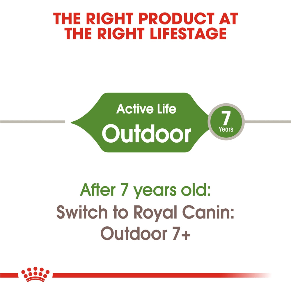 Royal Canin Dry Cat Food for Active Outdoor Adult Cats