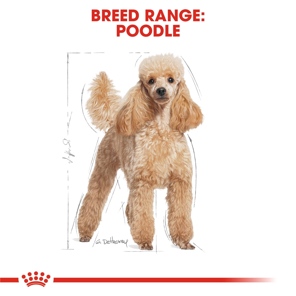 Royal Canin Poodle Dry Dog Food for Adult Dogs, 1.5kg