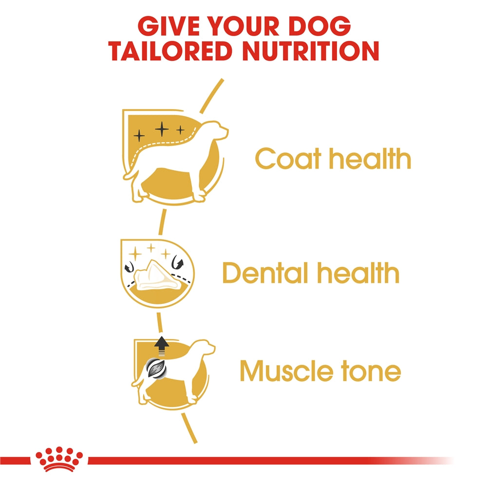 Royal Canin Poodle Dry Dog Food for Adult Dogs, 1.5kg