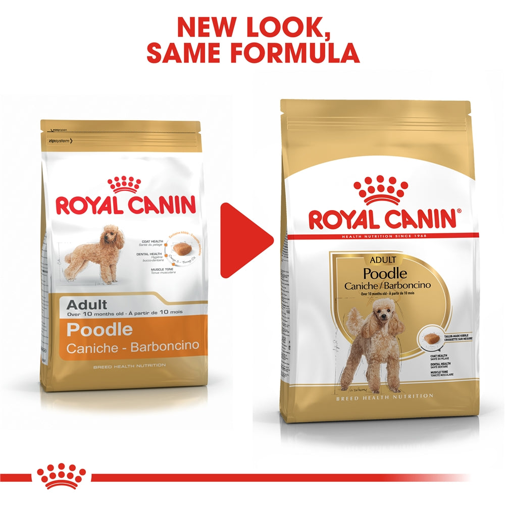 Royal Canin Poodle Dry Dog Food for Adult Dogs, 1.5kg
