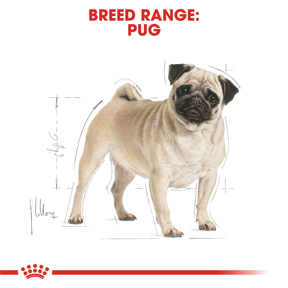 Royal Canin Pug Dry Dog Food, for Adult Dogs 1.5kg