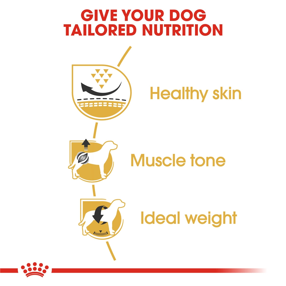 Royal Canin Pug Dry Dog Food, for Adult Dogs 1.5kg