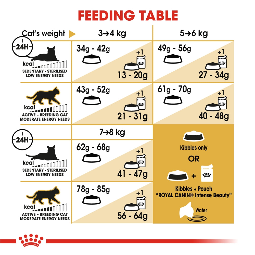 Royal Canin Dry Cat Food for Adult Ragdoll Cats