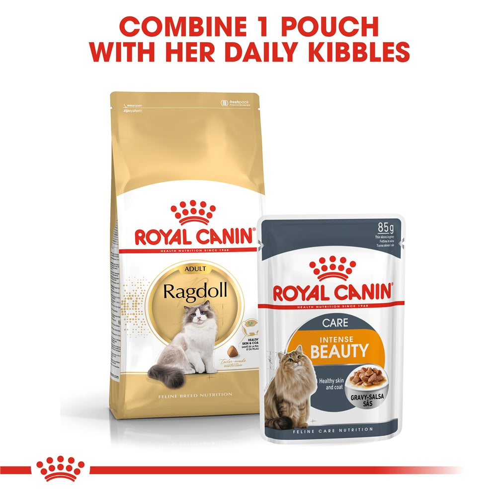 Royal Canin Dry Cat Food for Adult Ragdoll Cats