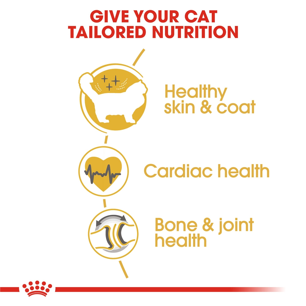 Royal Canin Dry Cat Food for Adult Ragdoll Cats