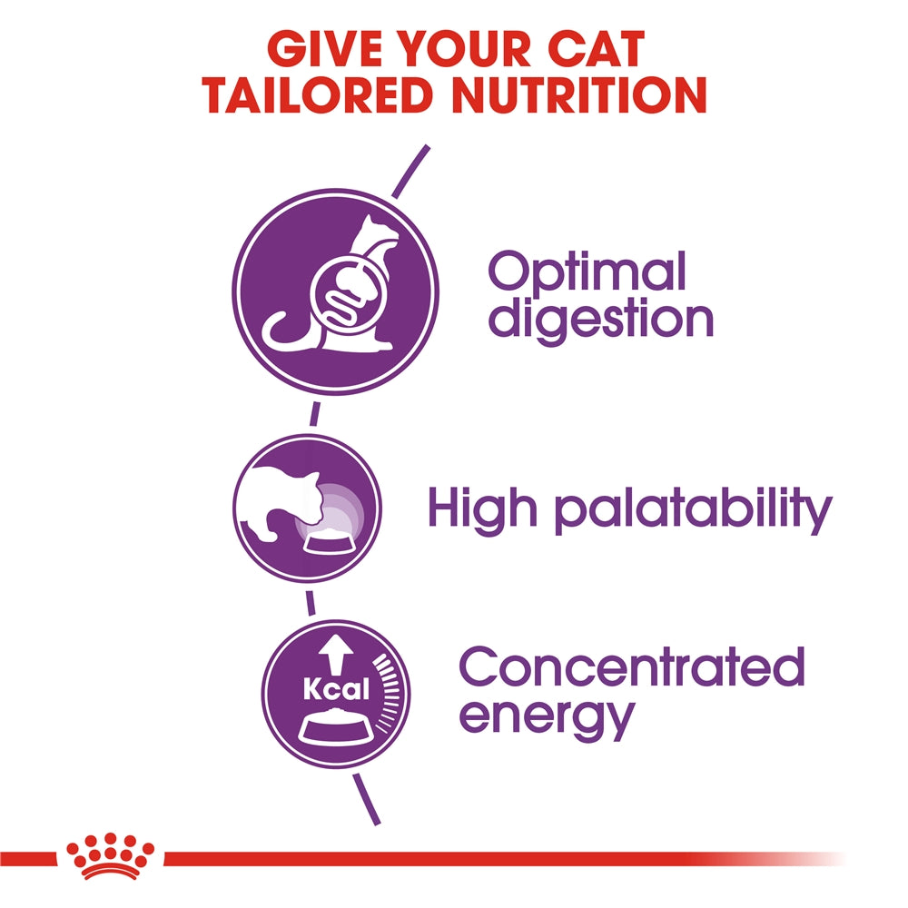 Royal Canin Sensible 33 Dry Cat Food for Sensitive Adult Cats