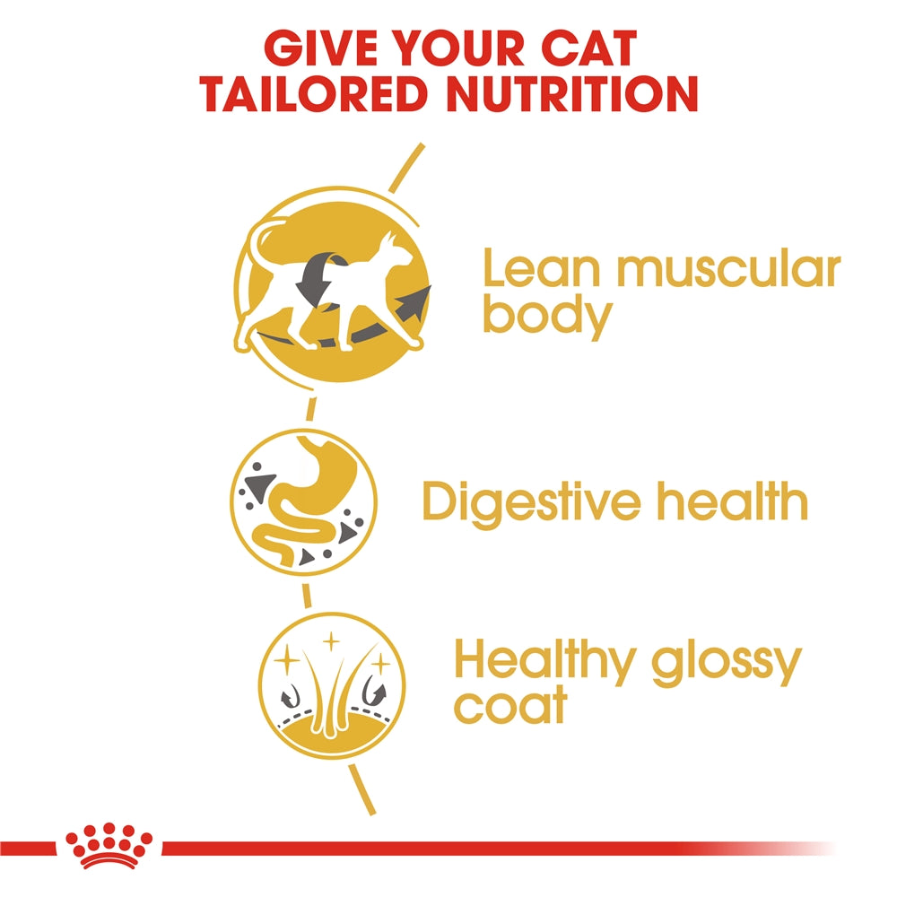 Royal Canin Dry Cat Food for Adult Siamese Cats, 2kg